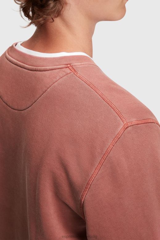 Esprit fenntartható legénységi nyakú pulóver férfiak terrakotta pulóverek és pulóverek F8HN8937